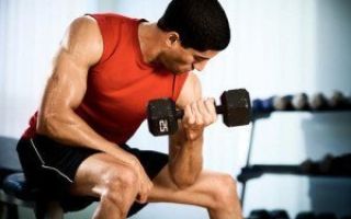 Тренировки на все группы мышц: подробное описание с картинками, базовые упражнения в бодибилдинге