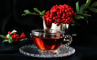 Чай для похудения: рекомендации по выбору эффективного препарата, виды в аптеках, отзывы