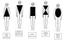 Как определить тип фигуры женщины, классификации телосложения