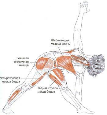 Йога для спины и позвоночника, упражнения для лечения и профилактики болезней, йогатерапия на практике