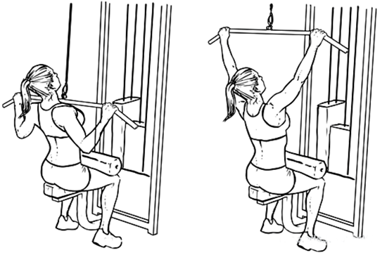 Программа тренировок в тренажерном зале для девушек: комплексы упражнений для разных целей, график, питание