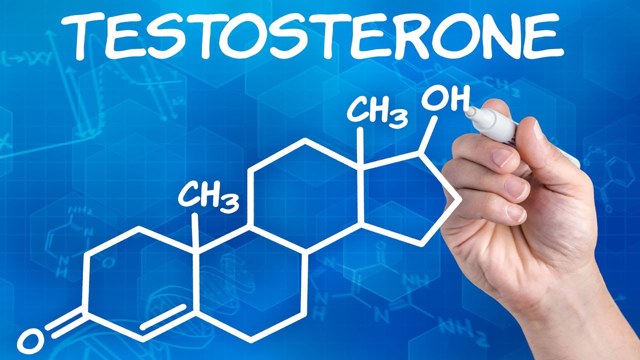 Как повысить тестостерон у мужчин естественными способами и для чего он нужен