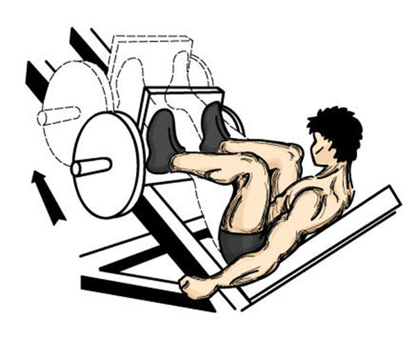 Программа тренировок на рельеф для мужчин в тренажерном зале и для дома, сколько раз в неделю заниматься?