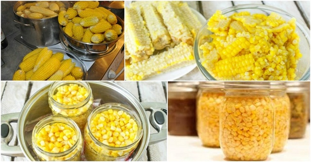 Калорийность кукурузы: польза и вред, консервированные зерна и рецепты с ними