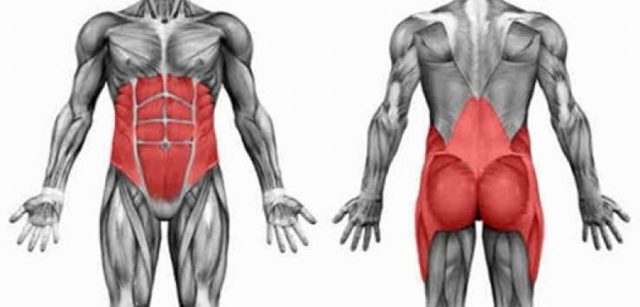 Мышцы кора: тренировка мышц кора, упражнения по их укреплению
