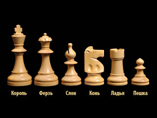 Король в шахматах: как ходить по правилам и кого можно рубить, варианты завершения партии