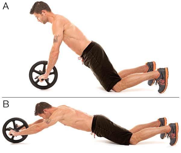 Какие мышцы работают в упражнениях с гимнастическим колесом?