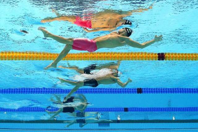 Виды плавания – описание спортивных стилей: кроль, брасс, баттерфляй