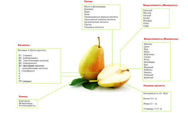 Груша: калорийность фруктов и пищевая ценность, полезные свойства сушеной и вяленой груши, противопоказания