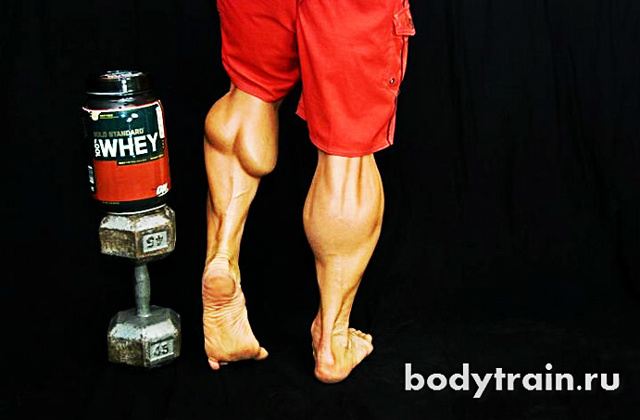 Хотите накачать икры? Хотите иметь красивые ноги? Как правильно прокачивать икроножные мышцы?