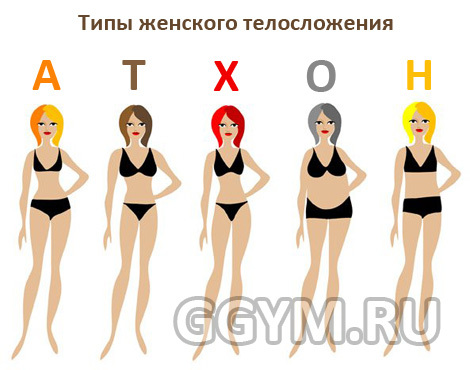 Как определить тип фигуры женщины, классификации телосложения
