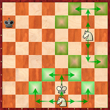 Король в шахматах: как ходить по правилам и кого можно рубить, варианты завершения партии