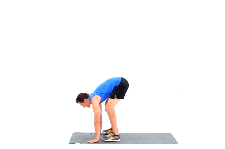 Правильная техника выполнения цикла упражнений берпи начинающим спортсменам
