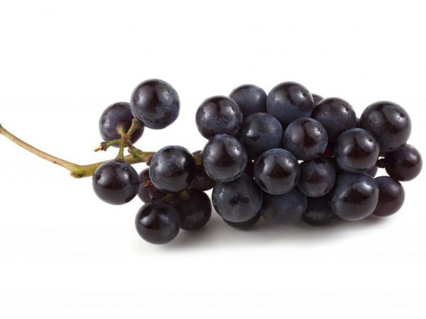 Сколько калорий в винограде: красном, черном, критерии выбора с учетом энергетической ценности