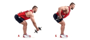 Описание техники выполнения тяги гантелей в наклоне: проработка разных типов мышц спины