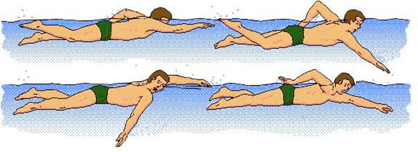 Как научиться плавать взрослому человеку самостоятельно: техника, движения, тренировка дыхания