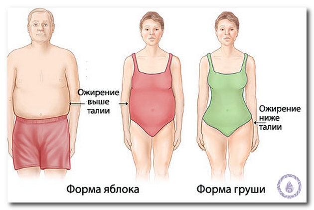 Как рассчитать индекс массы тела ИМТ: правильная формула, норма для женщин, степени ожирения
