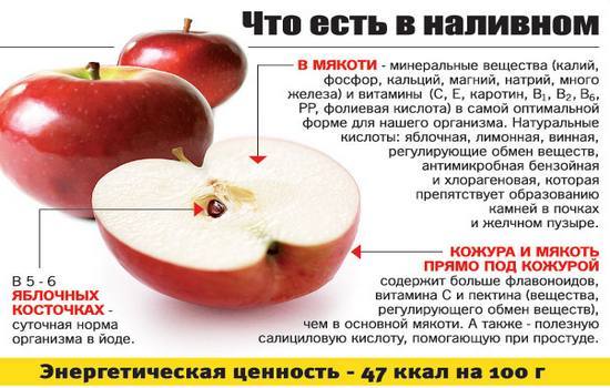 Техника проведения разгрузочного дня на яблоках для похудения: результаты, противопоказания, отзывы