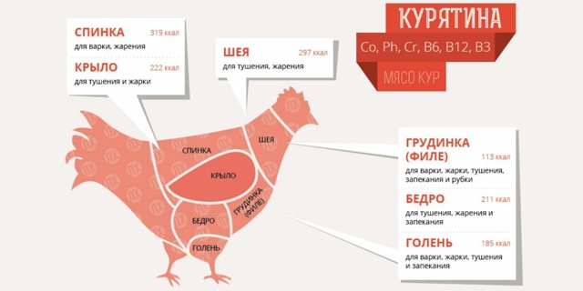 Сколько белка содержится в куриной грудке и какое количество необходимо человеку каждый день