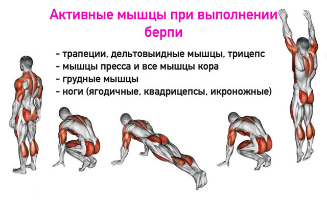 Правильная техника выполнения цикла упражнений берпи начинающим спортсменам