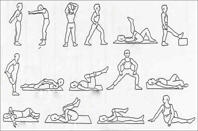 Упражнения для растяжки в домашних условиях, комплексы занятий для развития гибкости