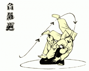 Айкидо: особенности боевого искусства, история и философия, разряды и направления