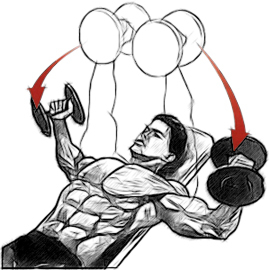 Тренировки на все группы мышц: подробное описание с картинками, базовые упражнения в бодибилдинге