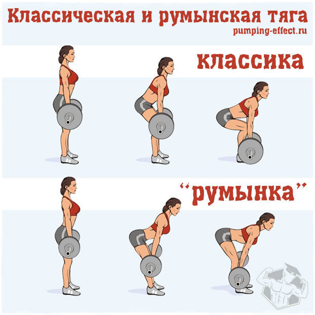 Мёртвая тяга со штангой: отличие от становой тяги, техника выполнения, особенности упражнения для женщин