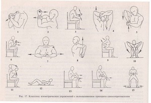 Волевая гимнастика Анохина: советы при начале тренировок, инструкция по выполнению комплекса и упражнений