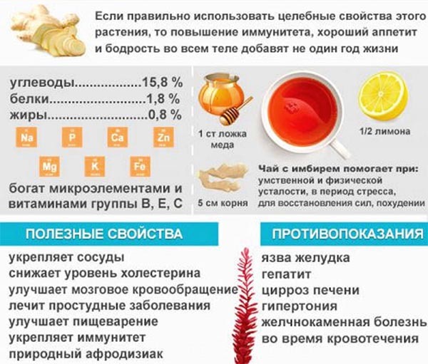 Чай с имбирем для похудения: рецепты приготовления, полезные свойства и противопоказания