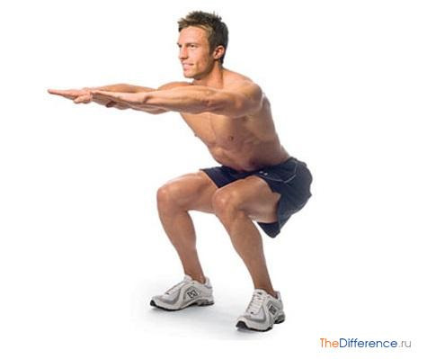 Силовые упражнения с собственным весом: брюшные мышцы, ноги, бицепс и спина