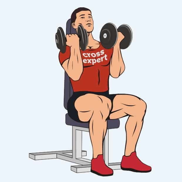 Правильная техника выполнения жима Арнольда, какие работают мышцы?