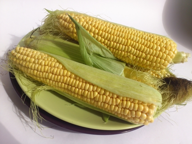 Калорийность кукурузы: польза и вред, консервированные зерна и рецепты с ними