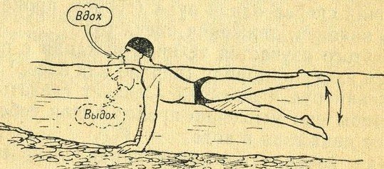 Как научиться плавать взрослому человеку самостоятельно: техника, движения, тренировка дыхания