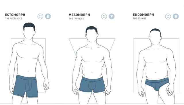 Типы сложения: эктоморф, мезоморф, эндоморф — как определить свой тип телосложения