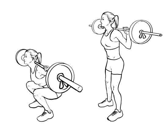 Программа тренировок в тренажерном зале для девушек: комплексы упражнений для разных целей, график, питание