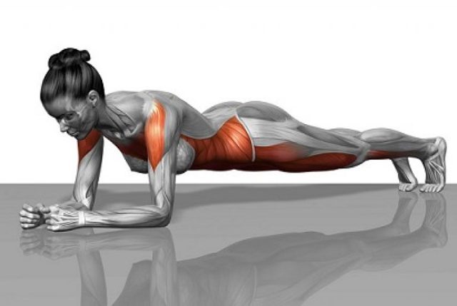 Мышцы кора: тренировка мышц кора, упражнения по их укреплению