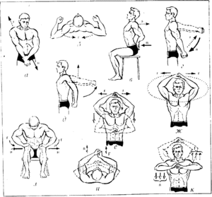 Волевая гимнастика Анохина: советы при начале тренировок, инструкция по выполнению комплекса и упражнений