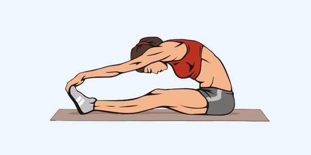 Упражнения на растяжку для шпагата — комплексы упражнений и тренировок для начинающих