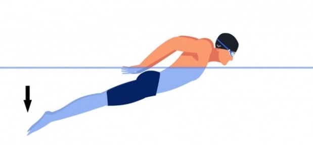 Правильная техника плавания баттерфляй и упражнения на суше